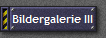 Bildergalerie III