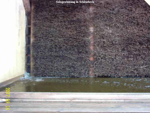 Salzgewinnung in Sch�nebeck